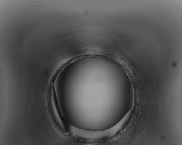 X0000097970060200804011731