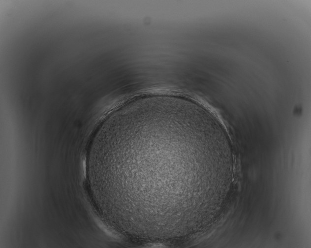 X0000097970061200804011731