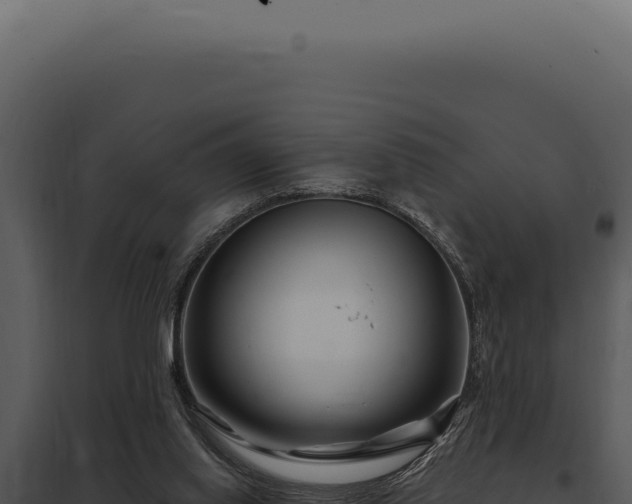 X0000097970062200804011731