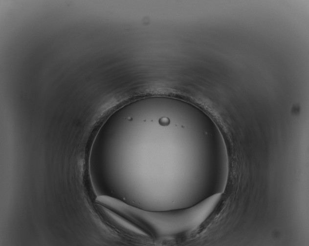 X0000097970063200804011731