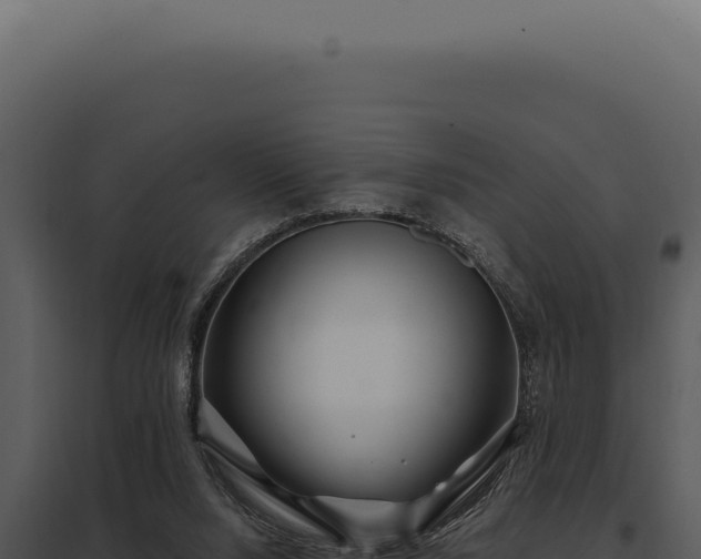 X0000097970064200804011731