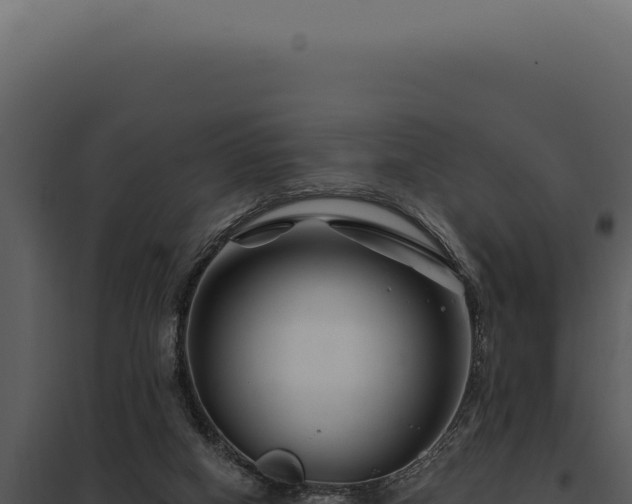 X0000097970066200804011731