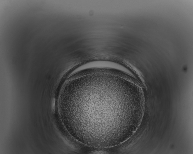 X0000097970067200804011731