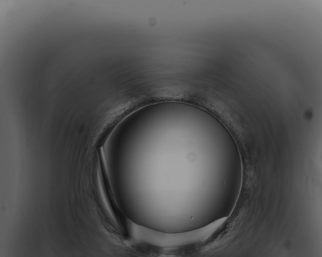 X0000097970068200804011731