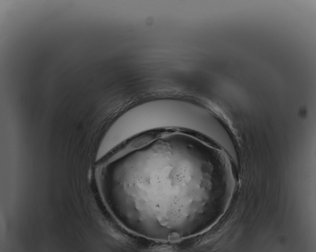 X0000097970069200804011731