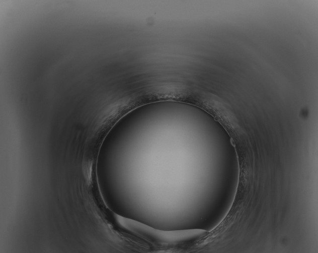 X0000097970070200804011731