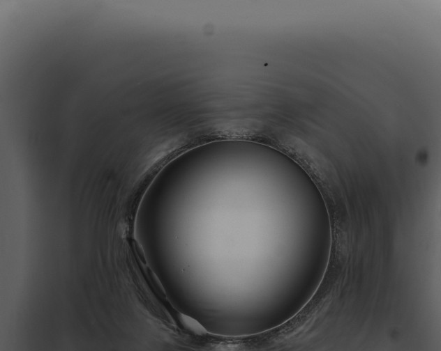 X0000097970071200804011731