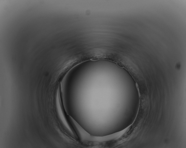 X0000097970072200804011731