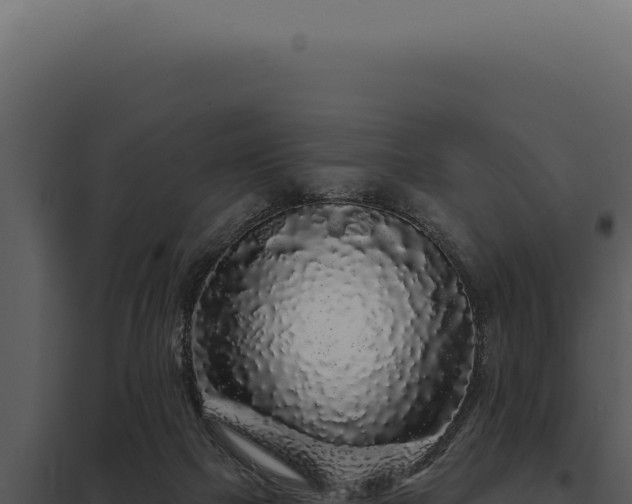 X0000097970073200804011731