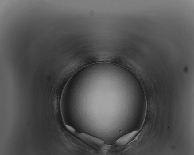 X0000097970074200804011731