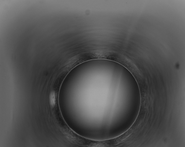 X0000097970075200804011731