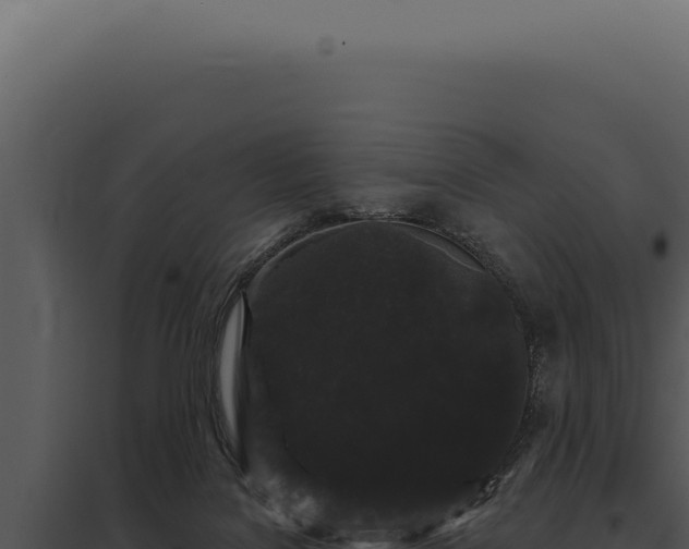 X0000097970076200804011731