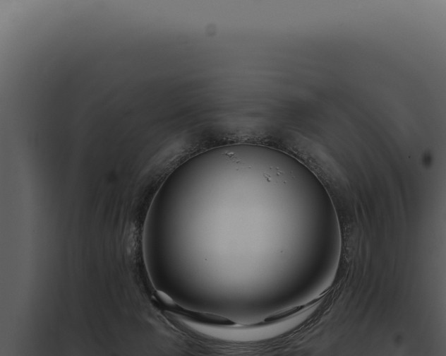 X0000097970077200804011731