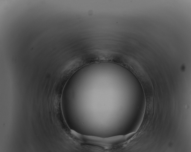 X0000097970078200804011731