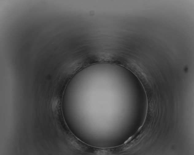 X0000097970079200804011731