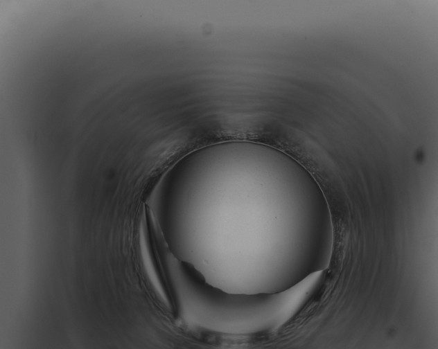 X0000097970080200804011731