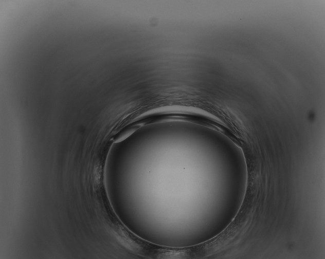 X0000097970081200804011731