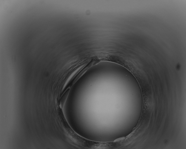 X0000097970082200804011731