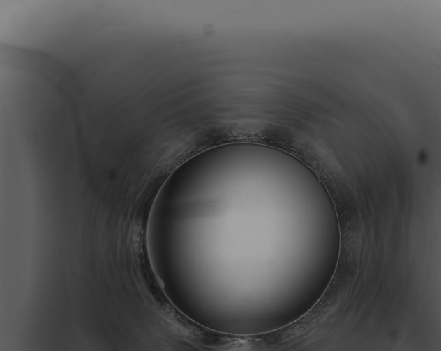 X0000097970083200804011731