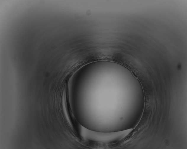 X0000097970084200804011731