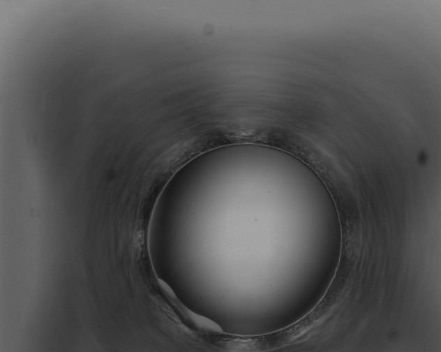 X0000097970085200804011731