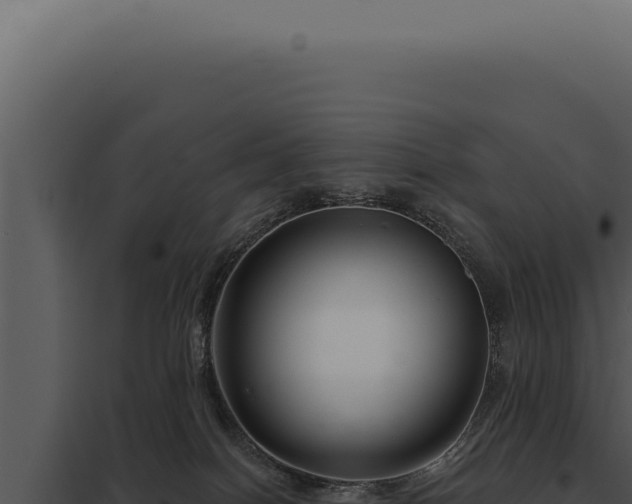 X0000097970086200804011731