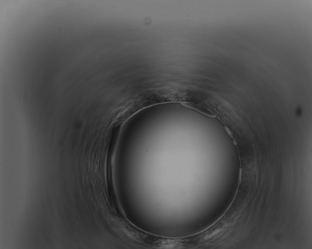 X0000097970088200804011731