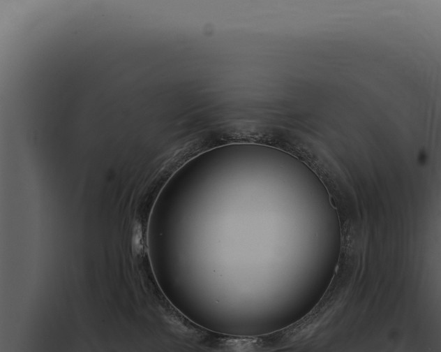 X0000097970089200804011731