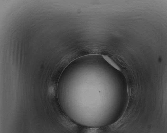 X0000097970090200804011731