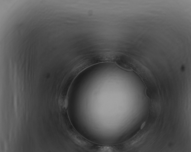 X0000097970091200804011731