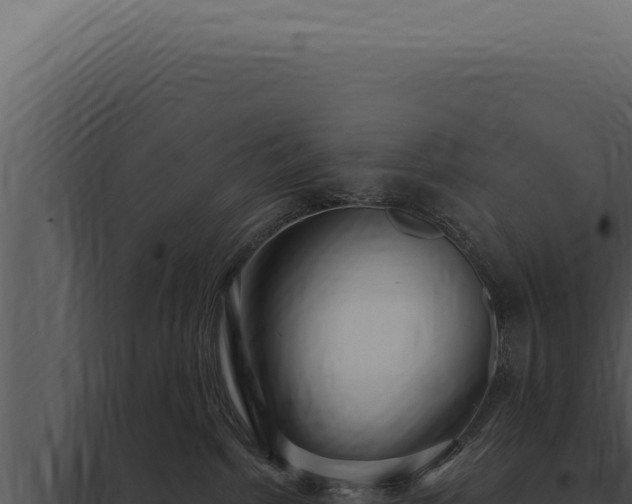 X0000097970092200804011731