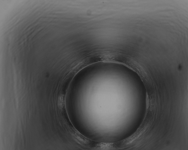 X0000097970093200804011731