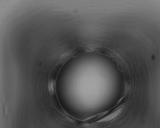 X0000097970094200804011731