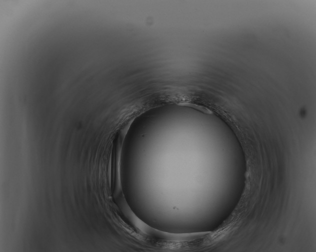 X0000097970096200804011731