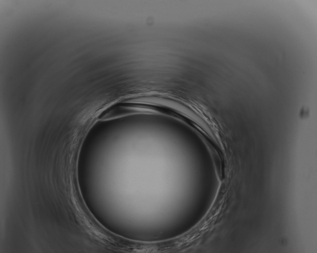 X0000097970097200804011731