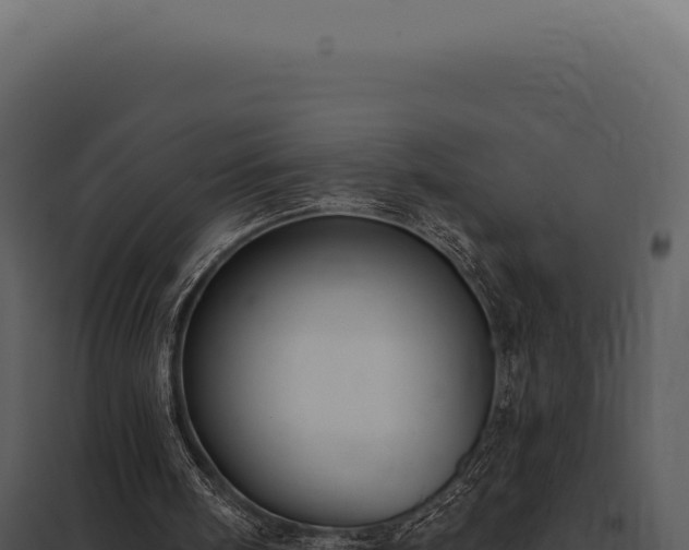 X0000097970098200804011731