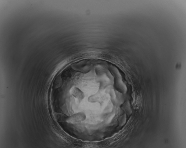 X0000097970099200804011731