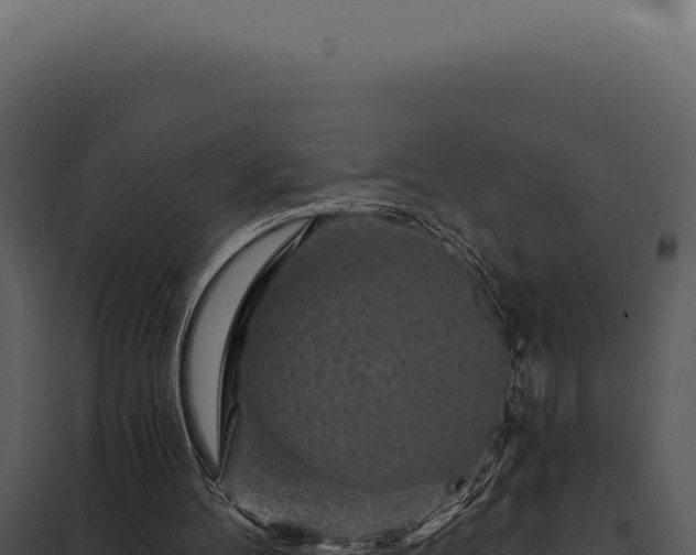 X0000097970100200804011731