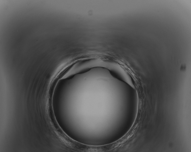 X0000097970101200804011731