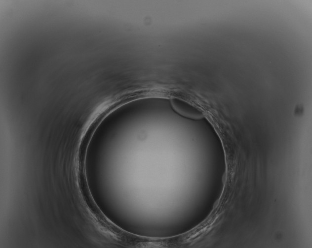 X0000097970102200804011731