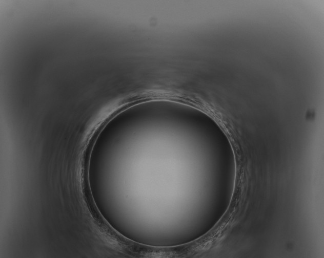 X0000097970103200804011731