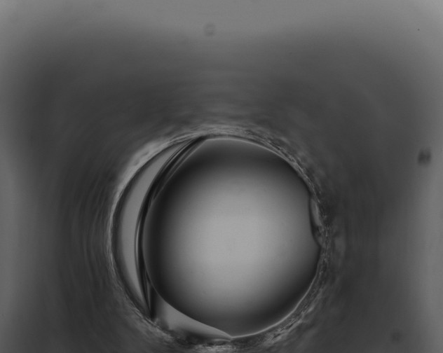 X0000097970104200804011731