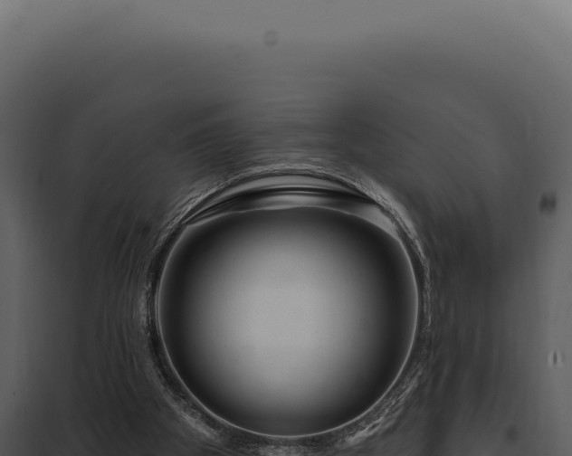 X0000097970105200804011731