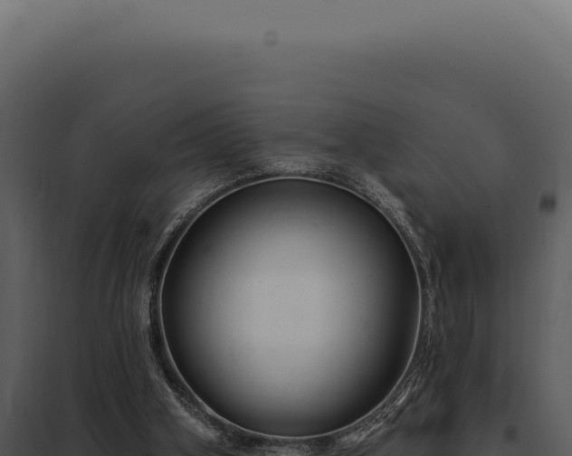 X0000097970106200804011731