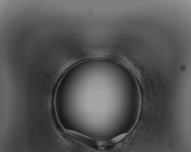 X0000097970107200804011731