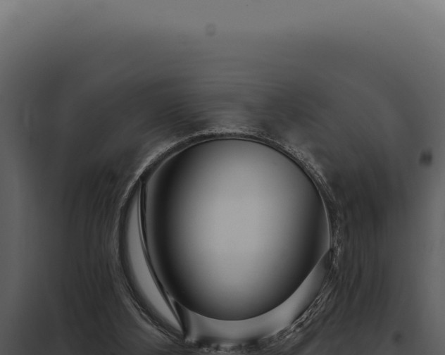 X0000097970108200804011731