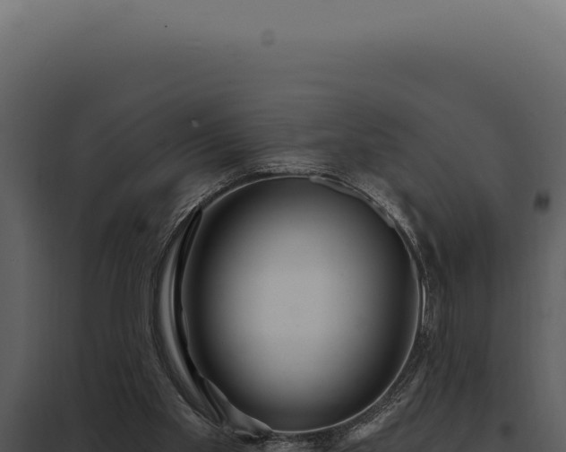 X0000097970109200804011730