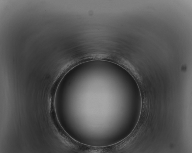 X0000097970110200804011730