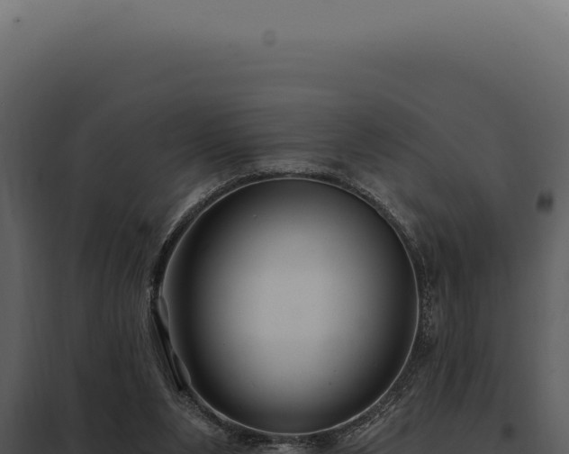 X0000097970111200804011730