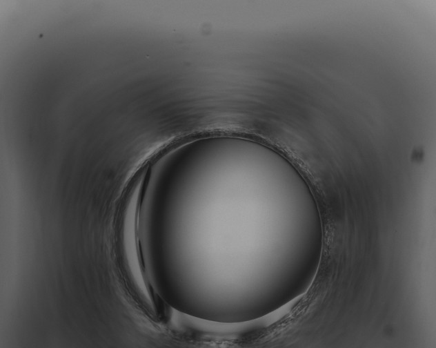 X0000097970112200804011730